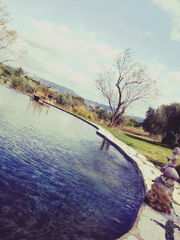 Agriturismo Il Poderino Bibbona Eksteriør billede