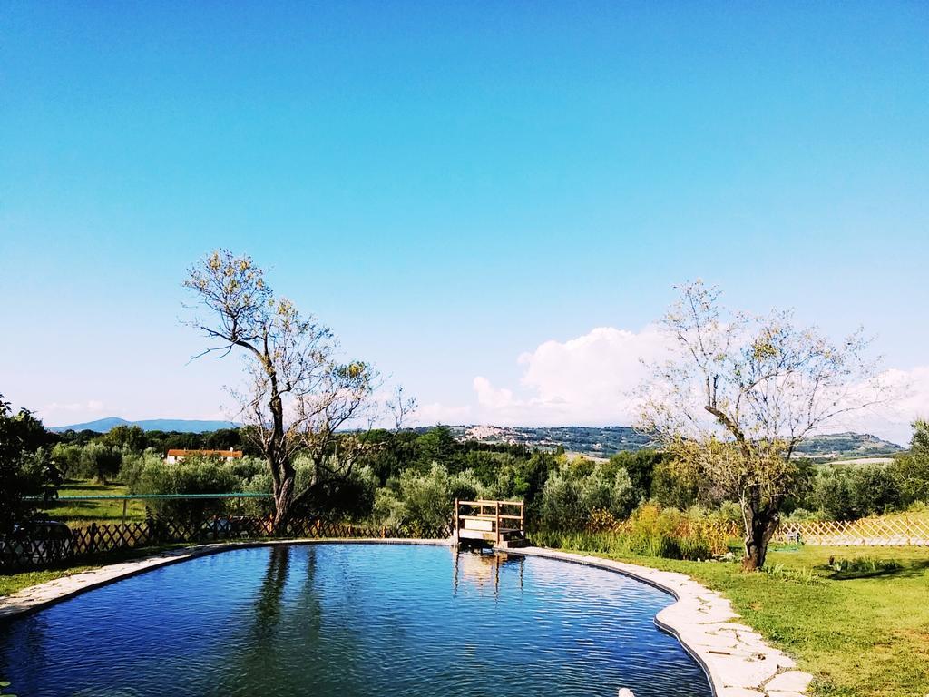 Agriturismo Il Poderino Bibbona Eksteriør billede
