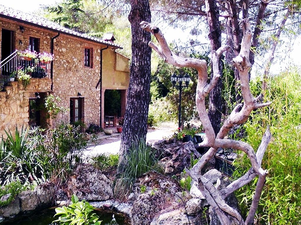 Agriturismo Il Poderino Bibbona Eksteriør billede