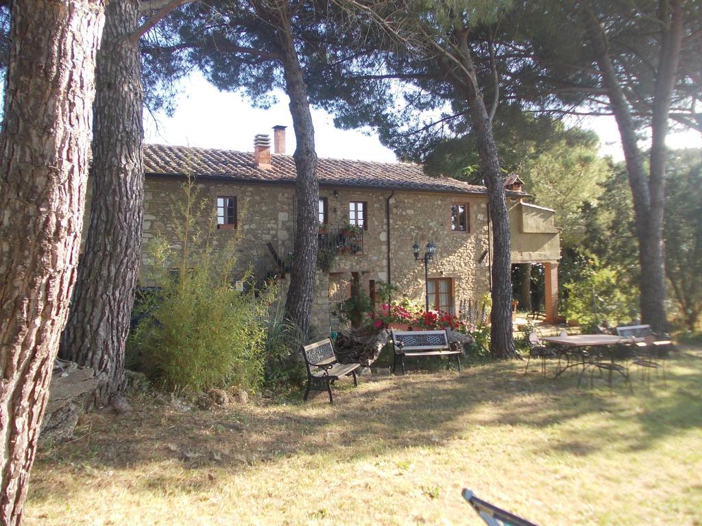 Agriturismo Il Poderino Bibbona Eksteriør billede