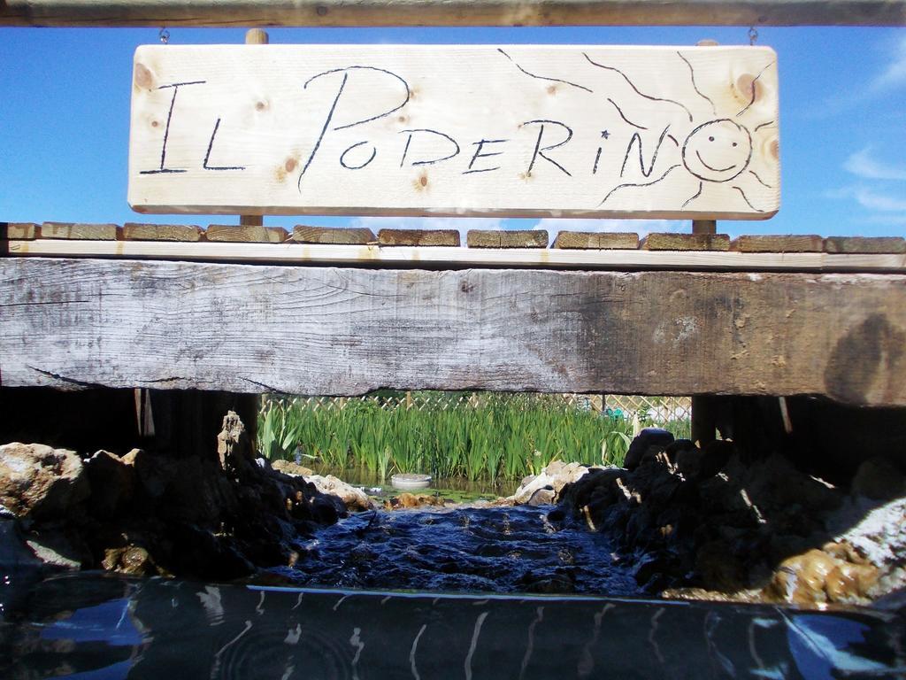 Agriturismo Il Poderino Bibbona Eksteriør billede