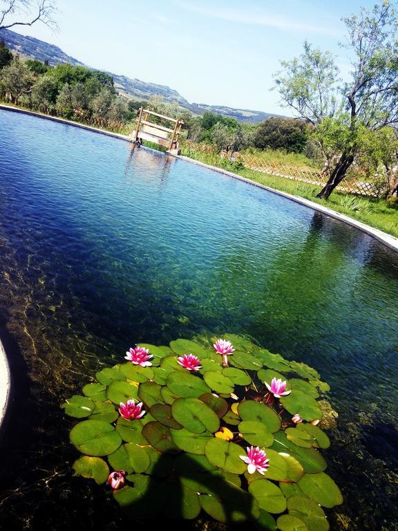 Agriturismo Il Poderino Bibbona Eksteriør billede