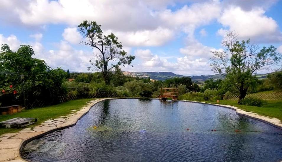 Agriturismo Il Poderino Bibbona Eksteriør billede