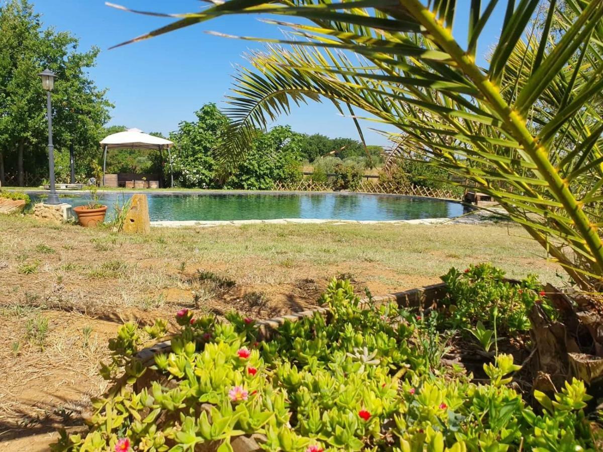 Agriturismo Il Poderino Bibbona Eksteriør billede